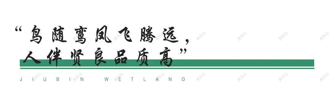 微信图片_20200408164211.jpg