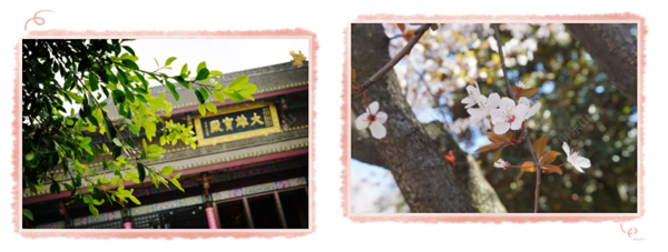 微信截图_20200410173613.png