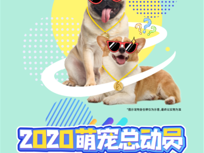 邦泰爱宠“身份牌”定制活动开启！