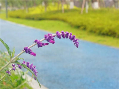 醉美四月，高新区PPP项目建设推进