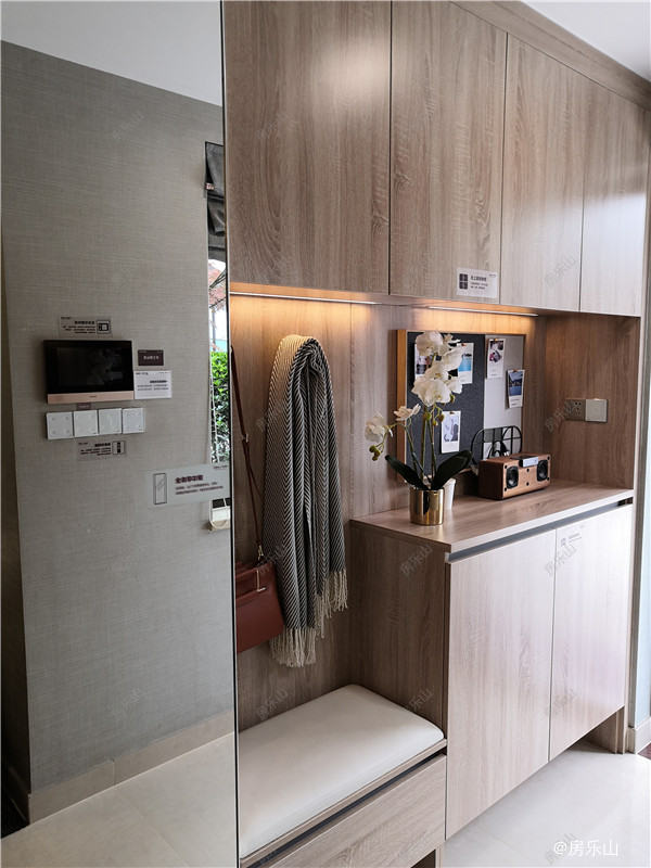 精美的入户玄关实拍