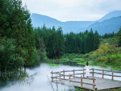 健康养生生活的标杆！健康领域专家考察康养胜地七里坪！