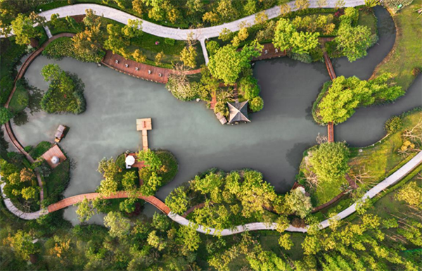 璞园森林钓实景图 璞园森林钓实景图