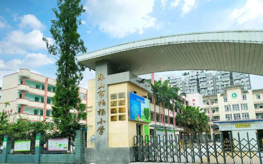 柏杨小学实景图