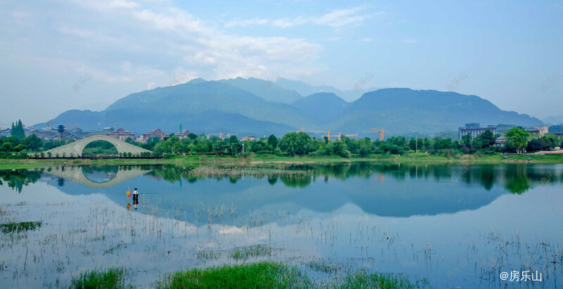 桃李春风实景图