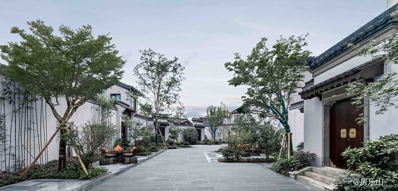 桃李春风实景图