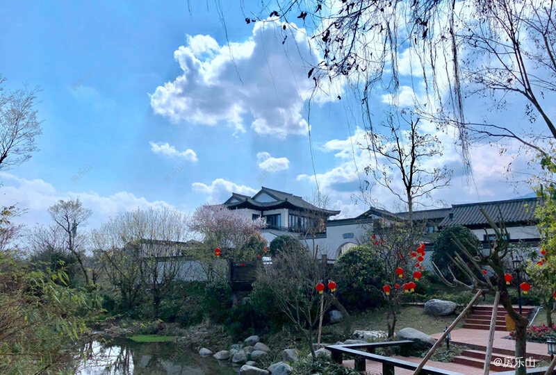 桃李春风实景图