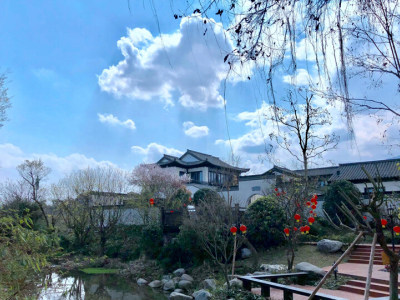 桃李春风中式宅院