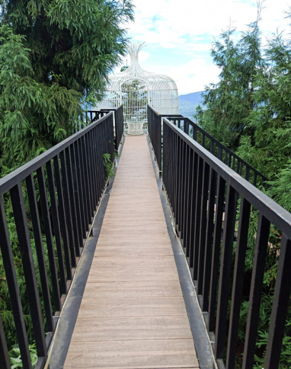 峨眉山澗雲中花嶺