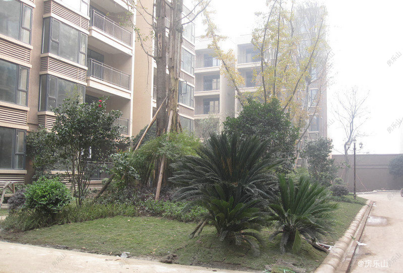 东湖半岛实景图