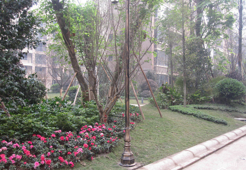 东湖半岛实景图