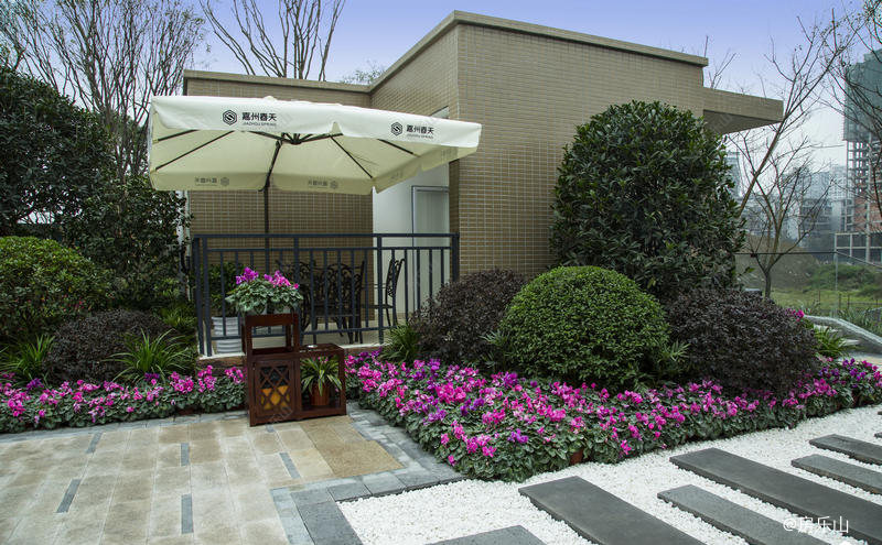 嘉州春天实景图