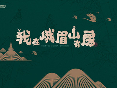 碧桂园·恒邦双林·观山悦媒体见面会暨案名发布会圆满举行