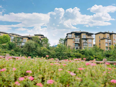 在半山七里坪，寻找属于你的生活故事