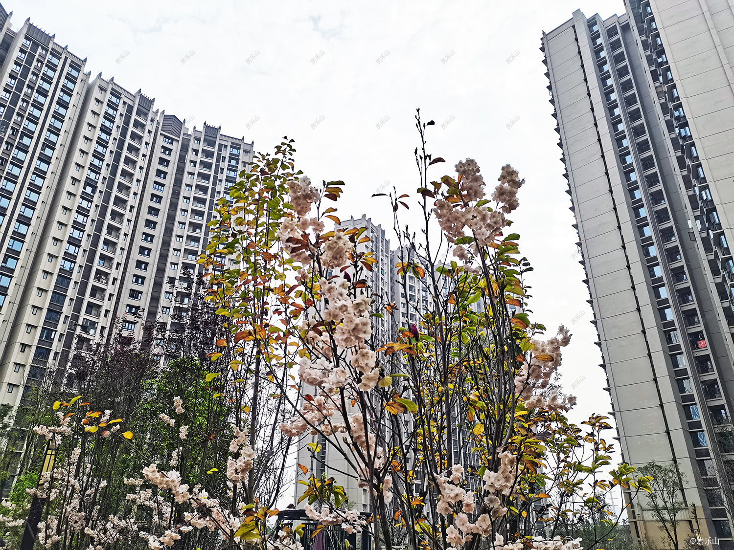 尚悦居一期实景图