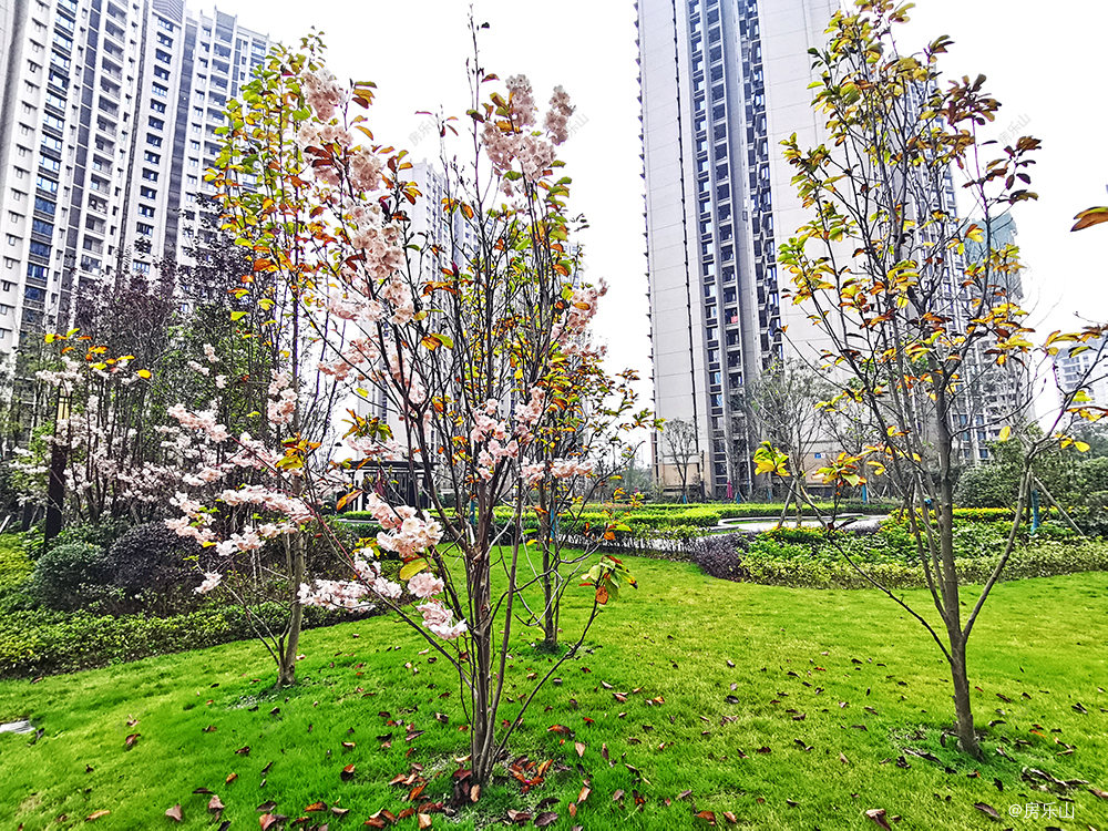 尚悦居一期实景图