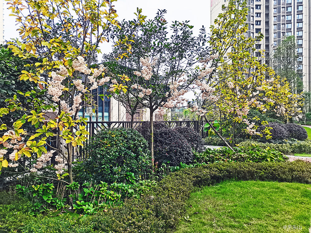 尚悦居一期实景图