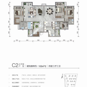 C2大平层