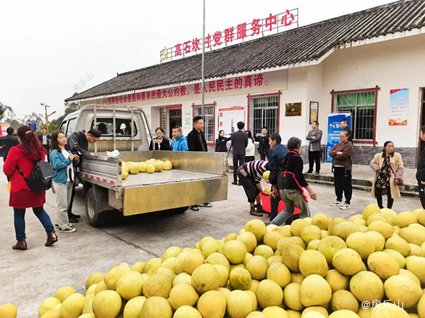 乐山滨江花园城公益助农