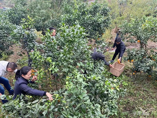 乐山滨江花园城公益助农