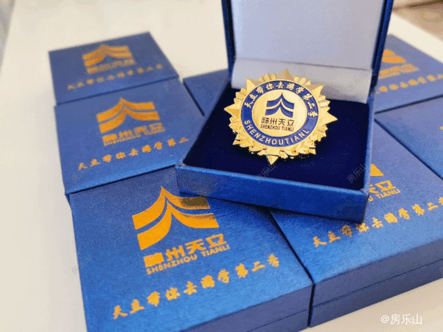 天立游学徽章