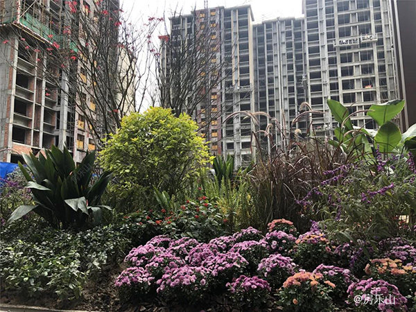 佳乐江屿城一期园林实景图