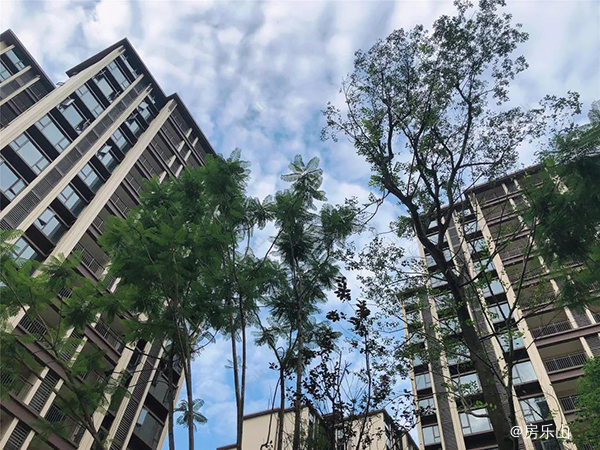 佳乐江屿城一期园林实景图