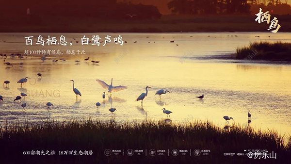 佛光湖海棠别院温泉度假小镇效果图