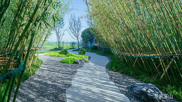 峨眉莲花湖实拍图