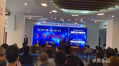 青江土地拍卖现场图