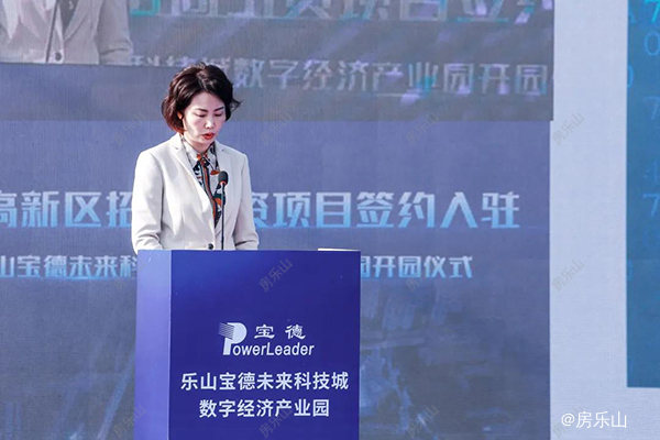 乐山市数字经济局局长杨丹