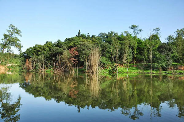 乐山佛光湖实景图