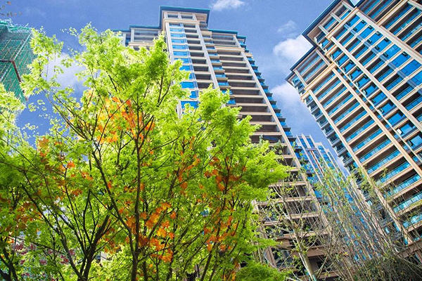乐山中心城实景图 乐山中心城实景图