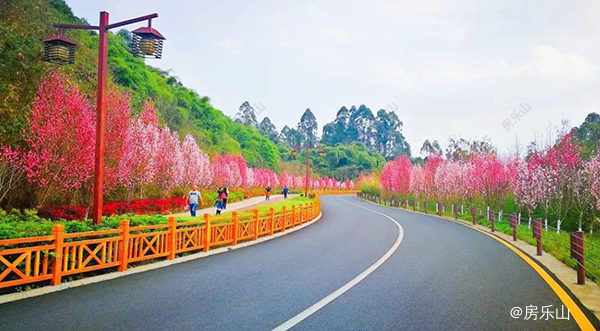 绿心公园实景图