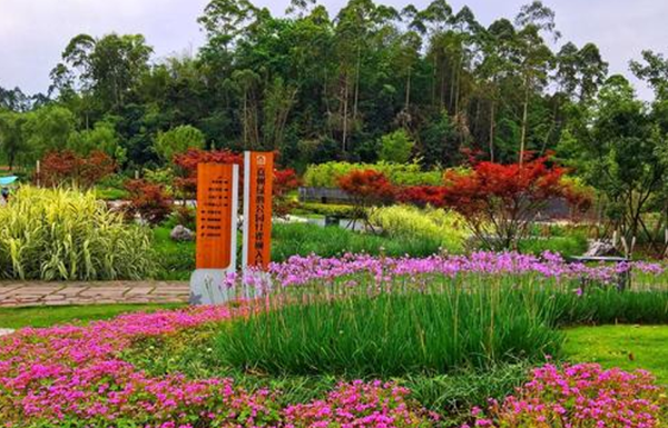 綠心公園實景圖