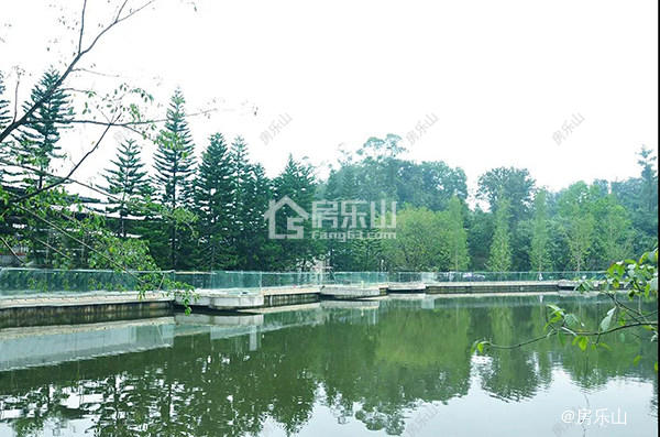 乐山佛光湖实景图