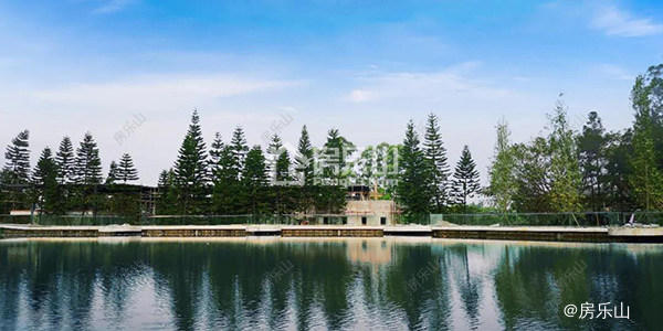 乐山佛光湖实景图
