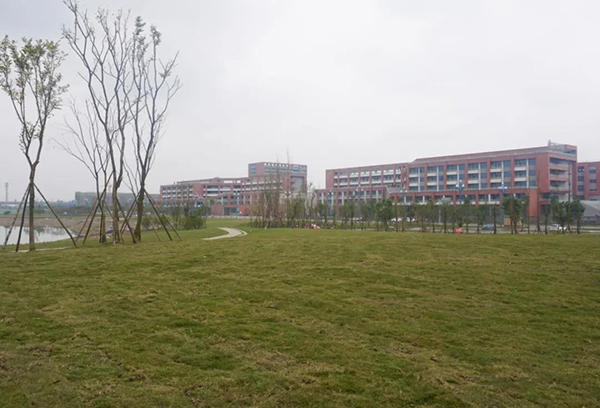 小铜河生态修复工程实景图