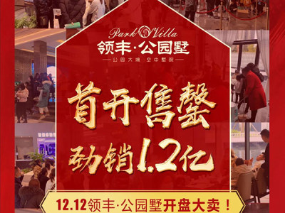 领丰公园墅开盘即售罄，劲销1.2亿！