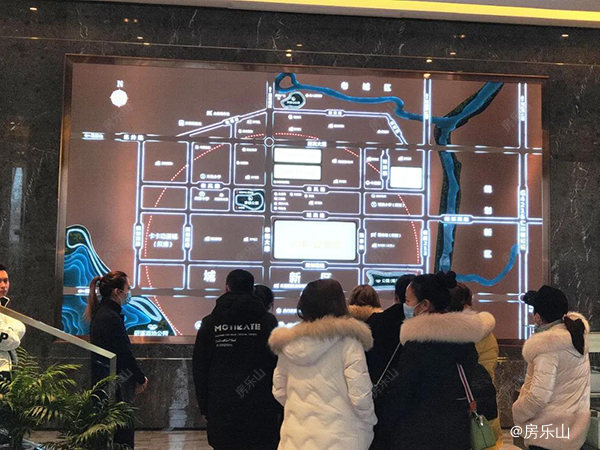领丰公园墅实景图