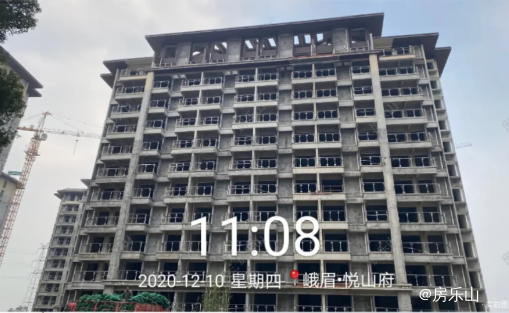 峨眉悦山府实景图