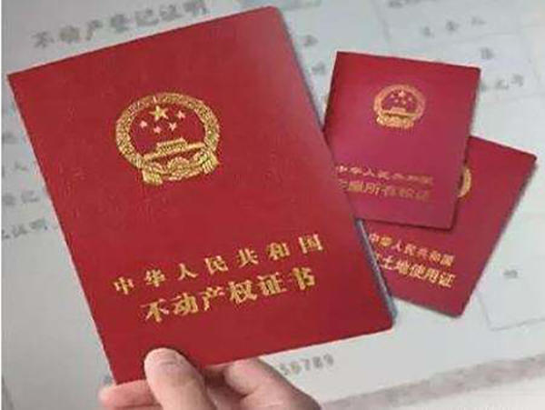 不动产证示意图 不动产证示意图