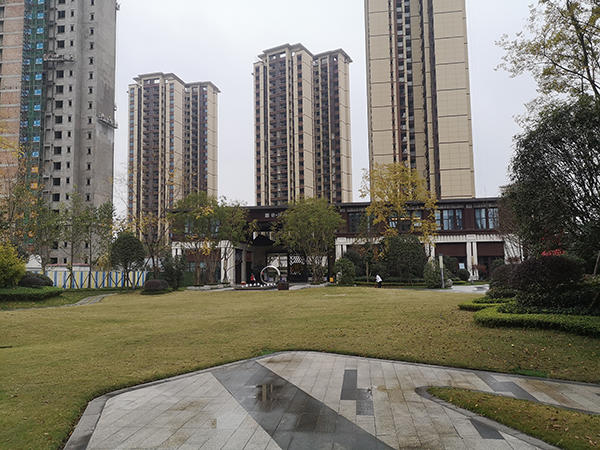 置信丽都花园实景图