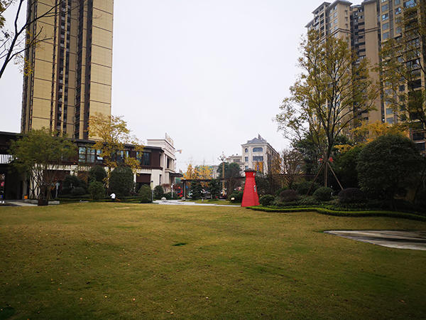 置信丽都花园实景图