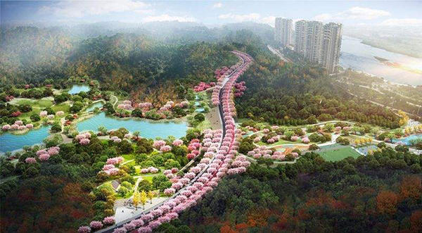 乐山绿心公园实景图