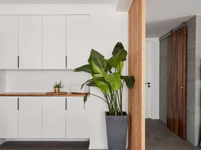 增加隐私性又有利居家风水，玄关可以这样装！