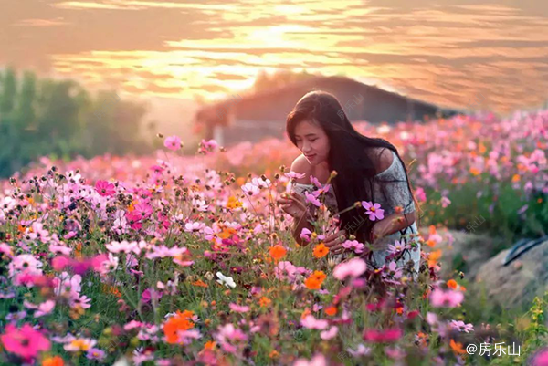 花海示意图