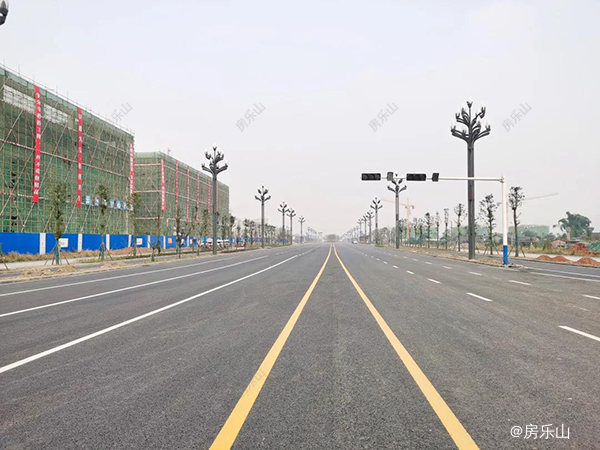 南新大道实景图