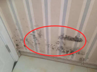 新房装修，这些地方一定要想好再装！