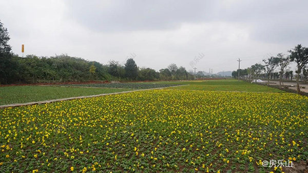 小铜河生态文化公园